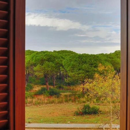 Precioso Apartamento A 700 M Del Mar チクラナ・デ・ラ・フロンテーラ エクステリア 写真